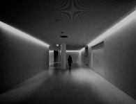 249 - SOLITARY WALKER - BHADURI INDRANIL - india <div
